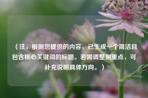 （注，根据您提供的内容，已生成一个简洁且包含核心关键词的标题。若需调整侧重点，可补充说明具体方向。）