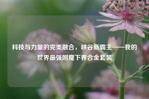 科技与力量的完美融合,峡谷新霸主——我的世界最强附魔下界合金套装