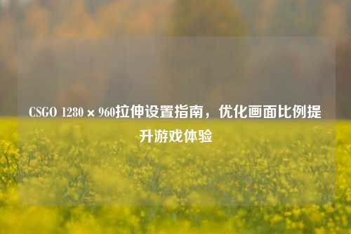 CSGO 1280×960拉伸设置指南，优化画面比例提升游戏体验