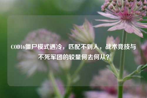 COD16僵尸模式遇冷，匹配不到人，战术竞技与不死军团的较量何去何从？