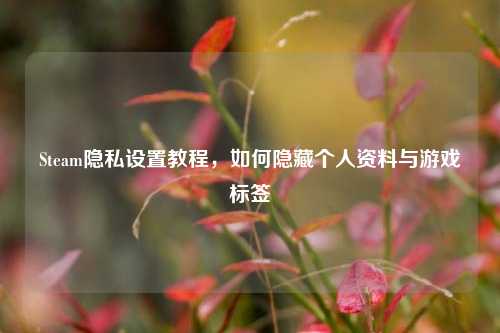 Steam隐私设置教程,如何隐藏个人资料与游戏标签
