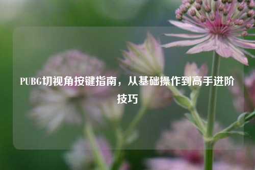 PUBG切视角按键指南,从基础操作到高手进阶技巧