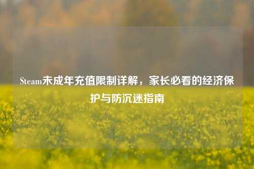 Steam未成年充值限制详解，家长必看的经济保护与防沉迷指南