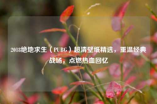 2018绝地求生(PUBG)超清壁纸精选,重温经典战场,点燃热血回忆