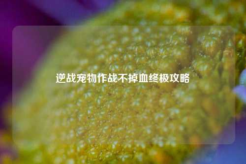 逆战宠物作战不掉血终极攻略