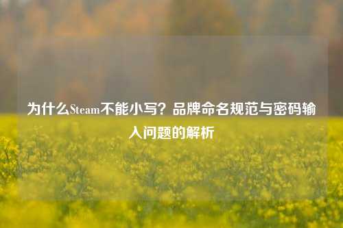 为什么Steam不能小写?品牌命名规范与密码输入问题的解析