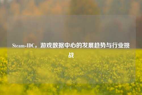 Steam-IDC，游戏数据中心的发展趋势与行业挑战