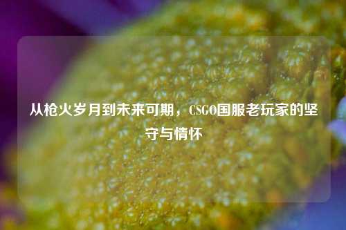 从枪火岁月到未来可期,CSGO国服老玩家的坚守与情怀