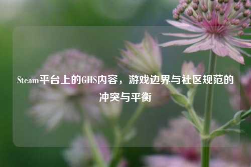 Steam平台上的GHS内容,游戏边界与社区规范的冲突与平衡