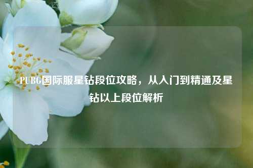 PUBG国际服星钻段位攻略，从入门到精通及星钻以上段位解析