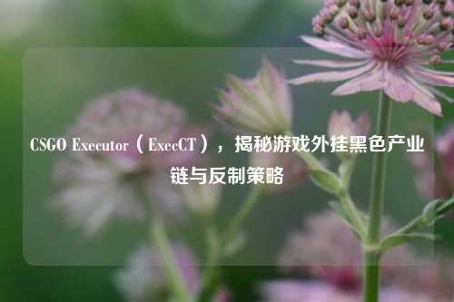 CSGO Executor(ExecCT),揭秘游戏外挂黑色产业链与反制策略