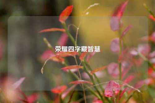 荣耀四字藏智慧