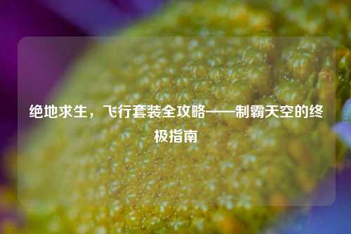 绝地求生，飞行套装全攻略——制霸天空的终极指南