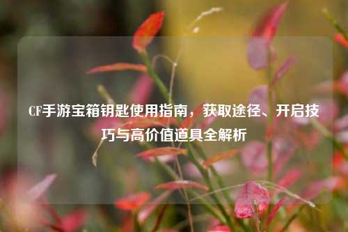 CF手游宝箱钥匙使用指南,获取途径、开启技巧与高价值道具全解析