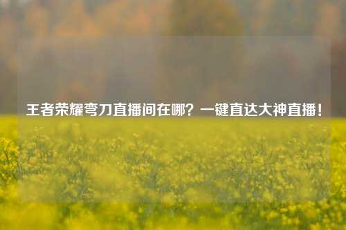 王者荣耀弯刀直播间在哪?一键直达大神直播!