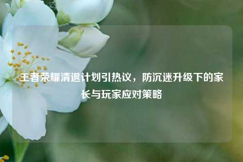 王者荣耀清退计划引热议，防沉迷升级下的家长与玩家应对策略