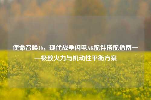 使命召唤16，现代战争闪电AK配件搭配指南——极致火力与机动性平衡方案