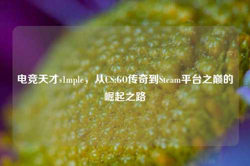 电竞天才s1mple,从CS:GO传奇到Steam平台之巅的崛起之路