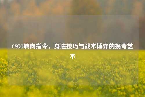 CSGO转向指令，身法技巧与战术博弈的拐弯艺术