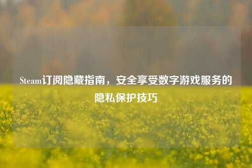 Steam订阅隐藏指南,安全享受数字游戏服务的隐私保护技巧