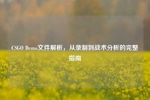 CSGO Demo文件解析，从录制到战术分析的完整指南