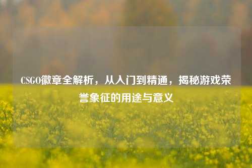 CSGO徽章全解析，从入门到精通，揭秘游戏荣誉象征的用途与意义