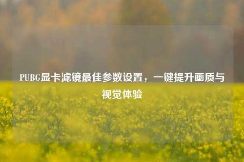 PUBG显卡滤镜最佳参数设置,一键提升画质与视觉体验