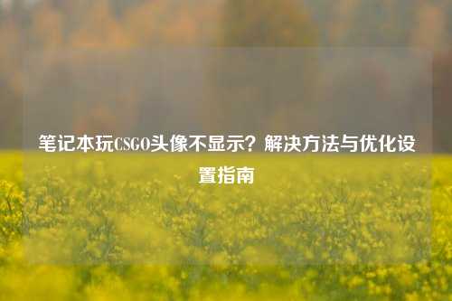 笔记本玩CSGO头像不显示?解决方法与优化设置指南
