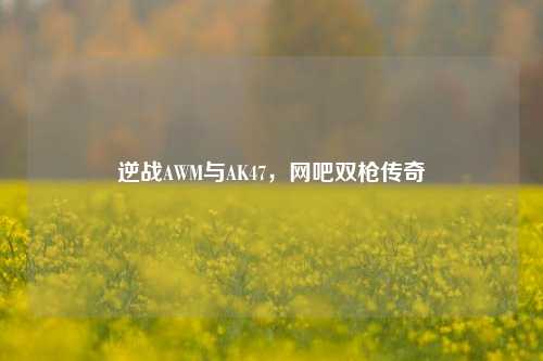 逆战AWM与AK47，网吧双枪传奇