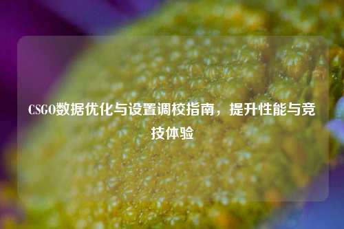 CSGO数据优化与设置调校指南，提升性能与竞技体验