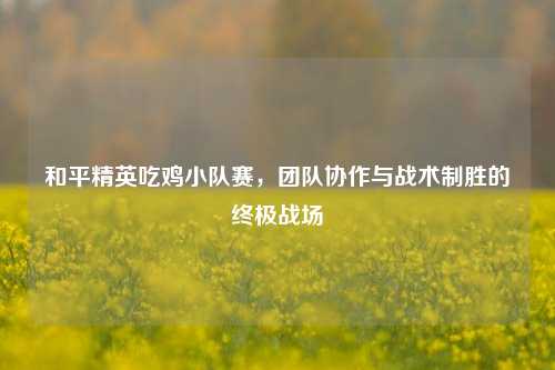 和平精英吃鸡小队赛，团队协作与战术制胜的终极战场