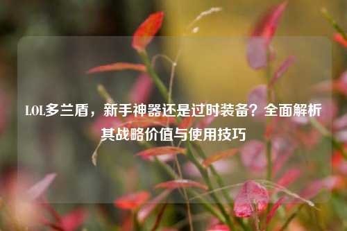 LOL多兰盾,新手神器还是过时装备?全面解析其战略价值与使用技巧