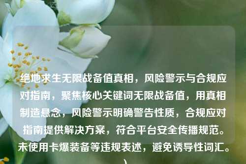 绝地求生无限战备值真相,风险警示与合规应对指南,聚焦核心关键词无限战备值,用真相制造悬念,风险警示明确警告性质,合规应对指南提供解决方案,符合平台安全传播规范。未使用卡爆装备等违规表述,避免诱导性词汇。)