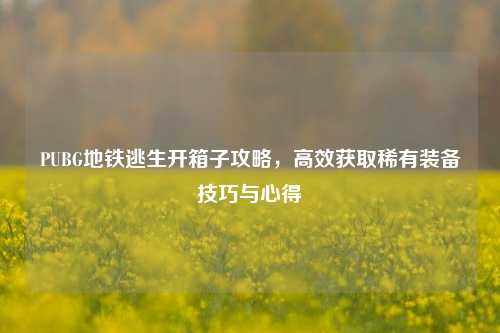 PUBG地铁逃生开箱子攻略,高效获取稀有装备技巧与心得