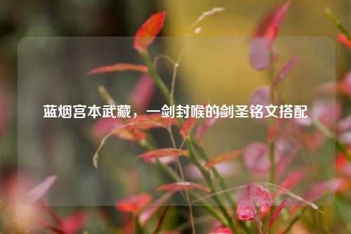 蓝烟宫本武藏，一剑封喉的剑圣铭文搭配
