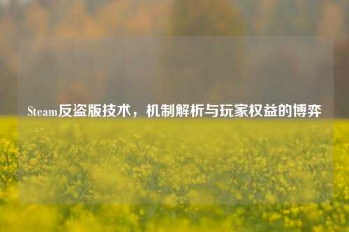 Steam反盗版技术，机制解析与玩家权益的博弈