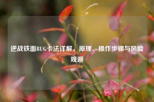 逆战铁面BUG卡法详解,原理、操作步骤与风险规避