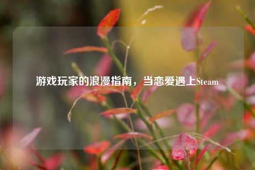 游戏玩家的浪漫指南，当恋爱遇上Steam