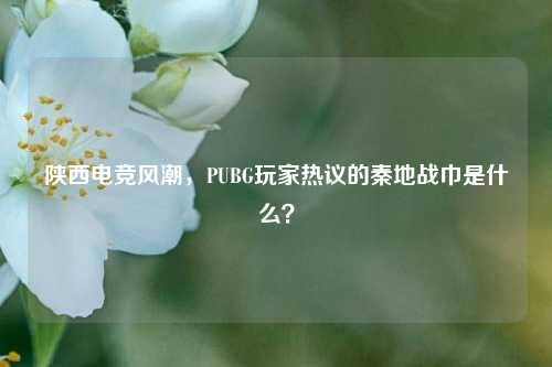 陕西电竞风潮，PUBG玩家热议的秦地战巾是什么？