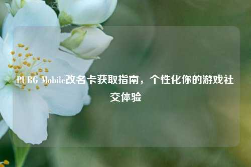 PUBG Mobile改名卡获取指南，个性化你的游戏社交体验