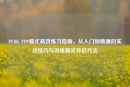 PUBG FPP模式高效练习指南,从入门到精通的实战技巧与训练模式开启方法