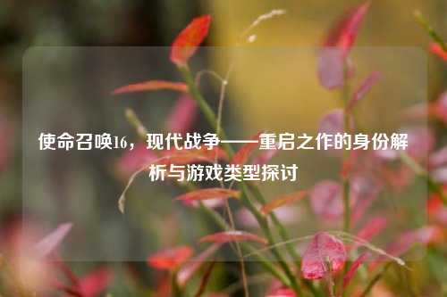使命召唤16，现代战争——重启之作的身份解析与游戏类型探讨