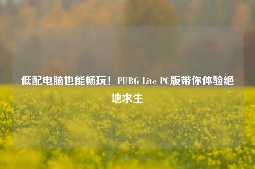 低配电脑也能畅玩！PUBG Lite PC版带你体验绝地求生