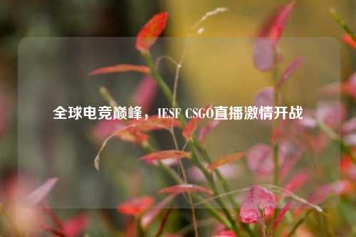 全球电竞巅峰，IESF CSGO直播激情开战