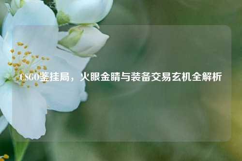 CSGO鉴挂局，火眼金睛与装备交易玄机全解析