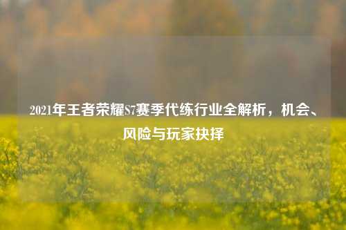 2021年王者荣耀S7赛季代练行业全解析,机会、风险与玩家抉择