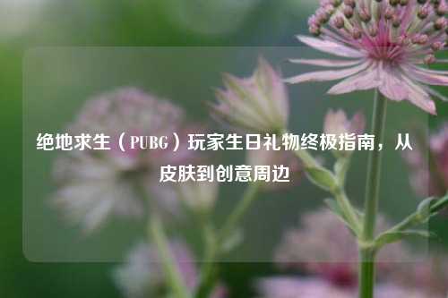 绝地求生（PUBG）玩家生日礼物终极指南，从皮肤到创意周边