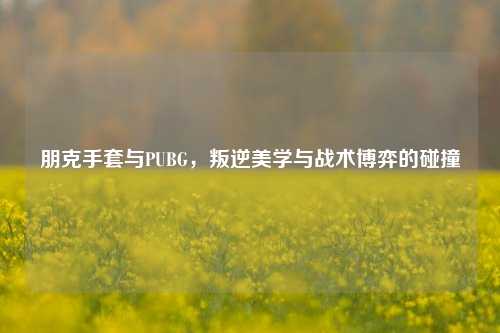 朋克手套与PUBG，叛逆美学与战术博弈的碰撞