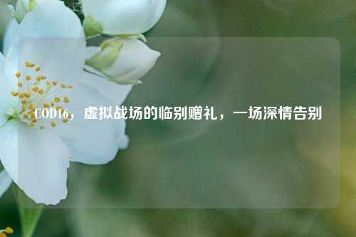 COD16，虚拟战场的临别赠礼，一场深情告别