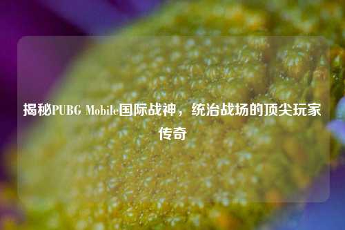揭秘PUBG Mobile国际战神,统治战场的顶尖玩家传奇